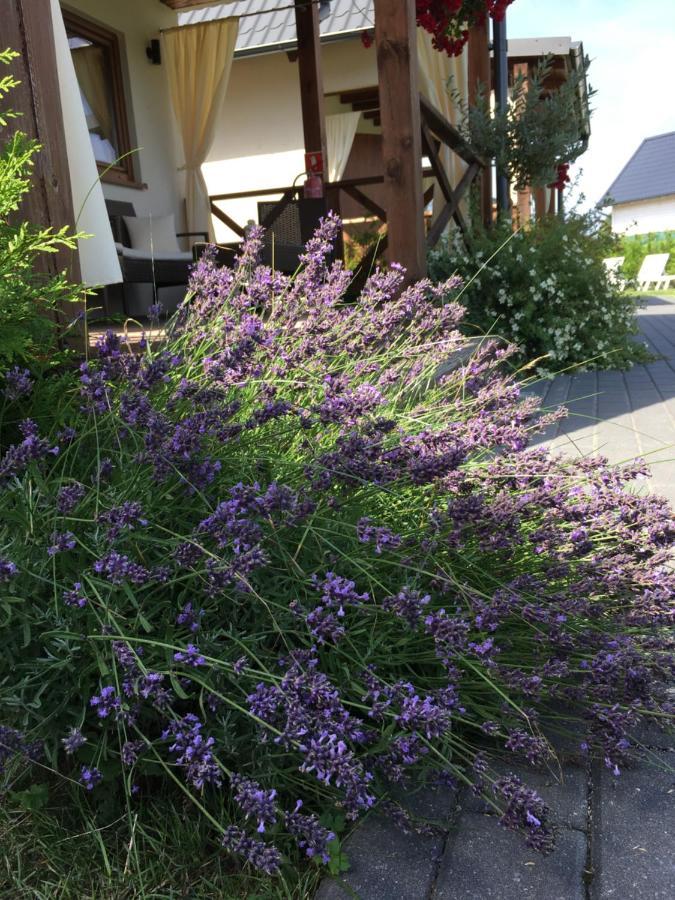 Zacisze Kopalino Villa Exteriör bild