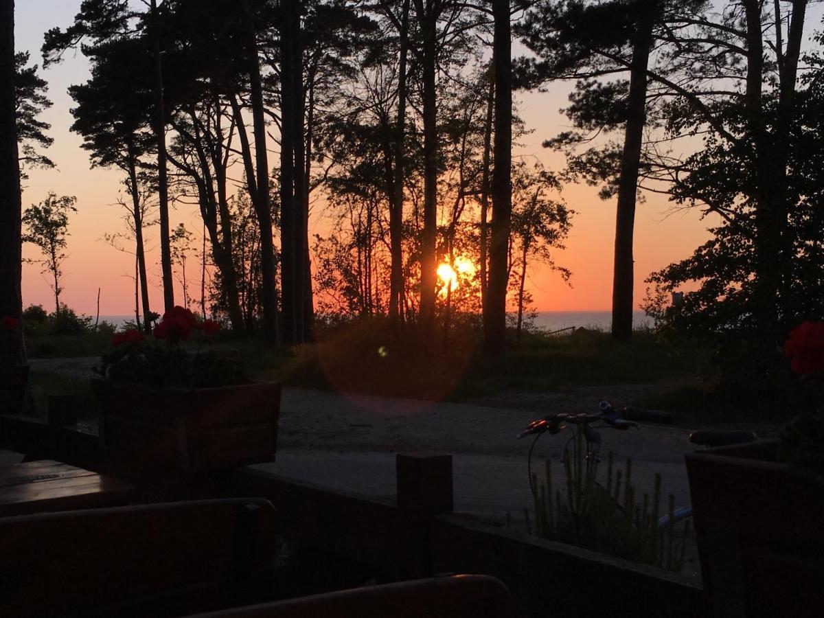 Zacisze Kopalino Villa Exteriör bild
